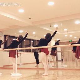 荷兰成人芭蕾舞视频,优雅与力量的完美融合